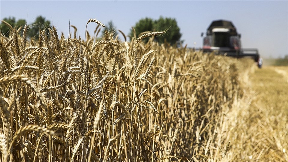 Rusya 55 milyon tonluk tahıl ihracı hedefliyor