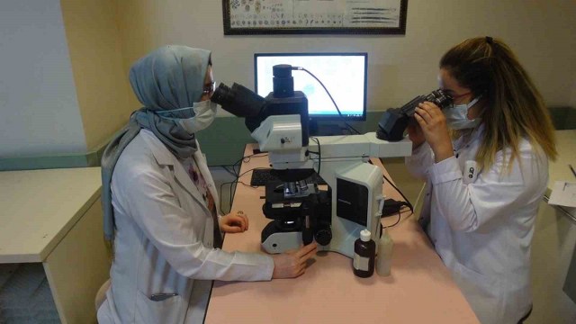 Prof. Dr. Tartar, “Dünya genelinde 350 milyondan fazla kişi hepatit ile yaşamaktadır”