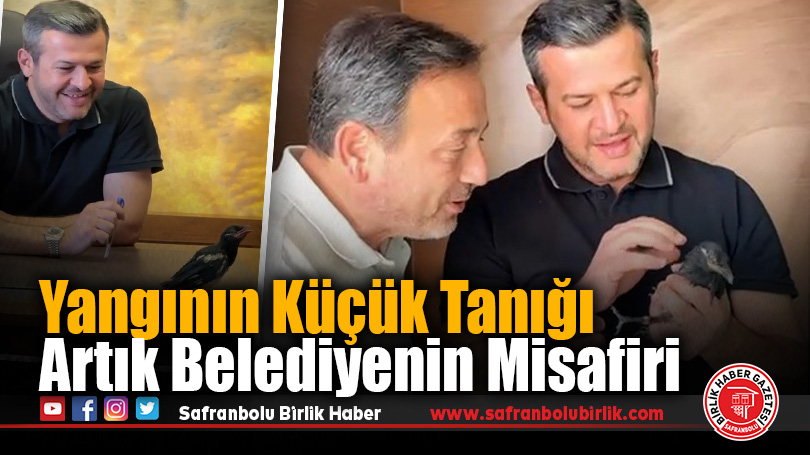 Yangından Kurtarılan Yavru Saksağan, Karabük Belediye Başkanı’nın Misafiri Oldu