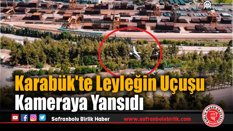 Karabük’te Leyleğin Uçuşu Kameraya Yansıdı