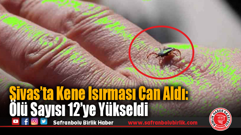 Sivas’ta Kene Isırması Can Aldı: Ölü Sayısı 12’ye Yükseldi