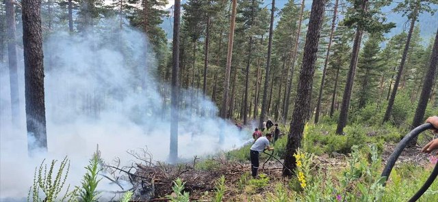 Bolu’da çıkan örtü yangını söndürüldü