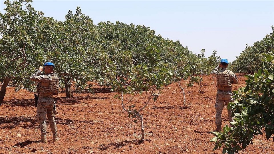 Gaziantep’te jandarma “Antep fıstığı” nöbetinde