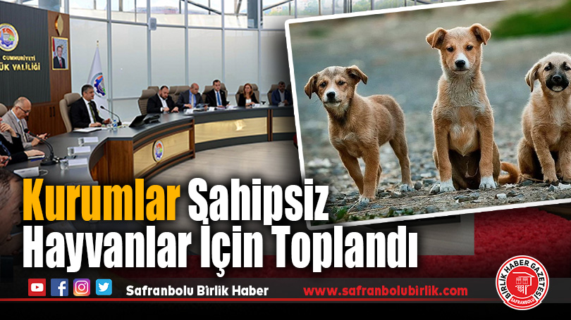 Karabük’te Sahipsiz Hayvanlar İçin Kurumsal İş Birliği Güçleniyor