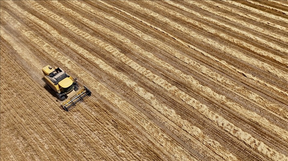 Türkiye genelinde tarım sayım seferberliği başladı