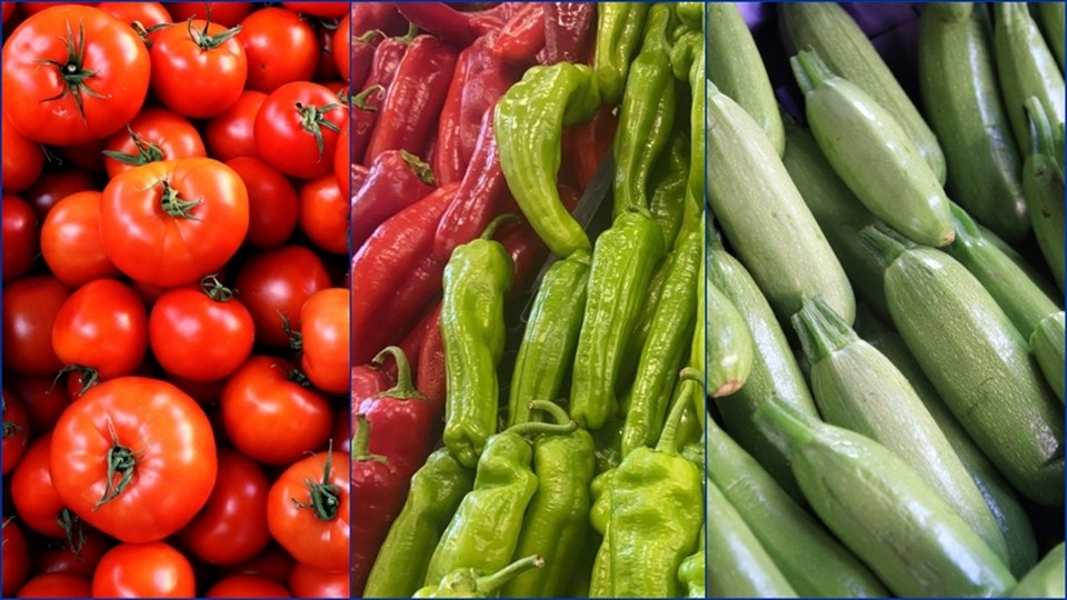 Türkiye’nin yılın ilk yarısındaki sebze ihracatı yüzde 10 arttı