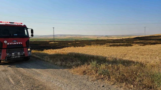 Çorum’da 15 dönüm buğday ekili tarla alevlere teslim oldu