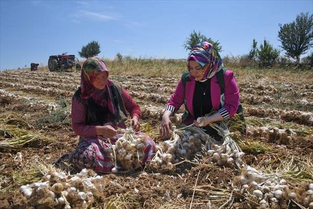 Yeşilaydan sarımsak tarlasında çalışan kadınlara ziyaret