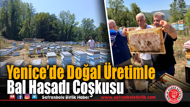 Yenice’de Doğal Üretimle Bal Hasadı Coşkusu
