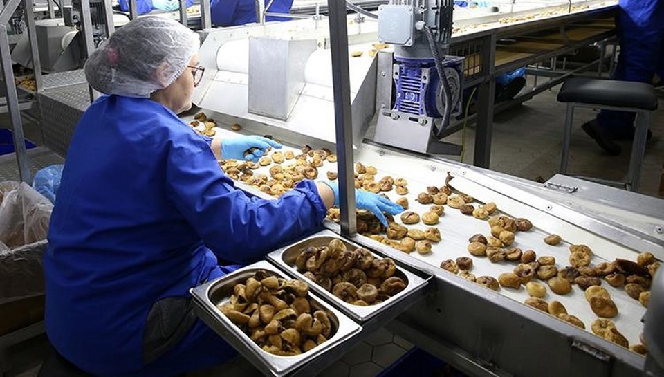 Güneydoğu’nun kuru meyve ihracatı yılın ilk yarısında yüzde 15,6 arttı