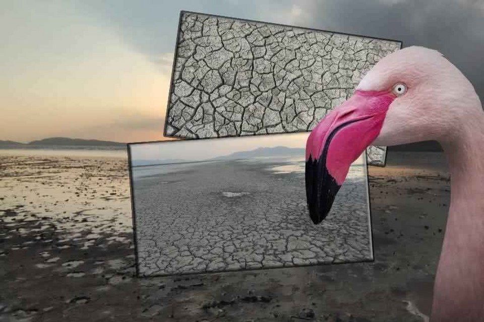 Erçek Gölü’nün kıyıları kuruyor: Uzmanlar uyarıyor