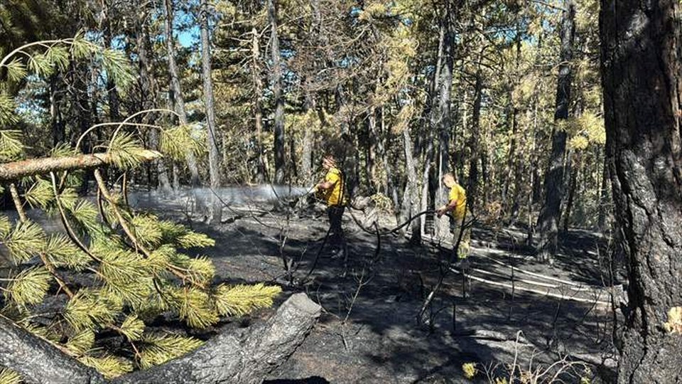 Bolu’da çıkan orman yangını kısmen kontrol altına alındı