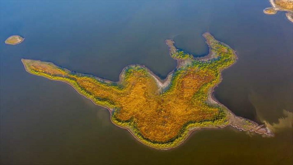 Seben Gölü’nde ortaya çıkan adacıklar, ineklerin otlağı oldu