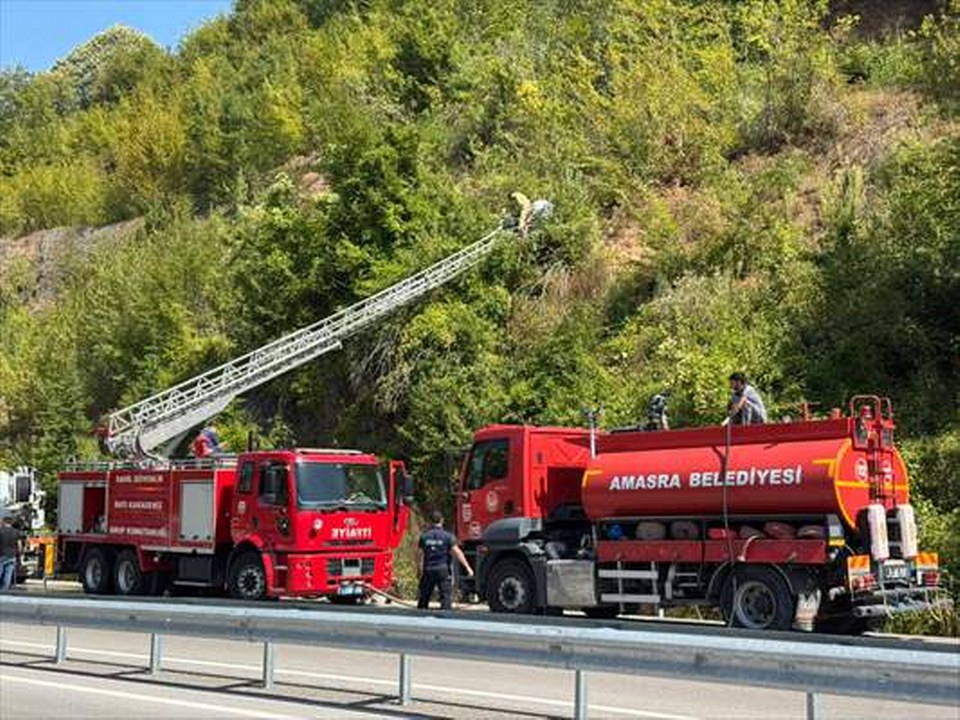 Bartın’da ormanlık alanda çıkan yangına müdahale ediliyor
