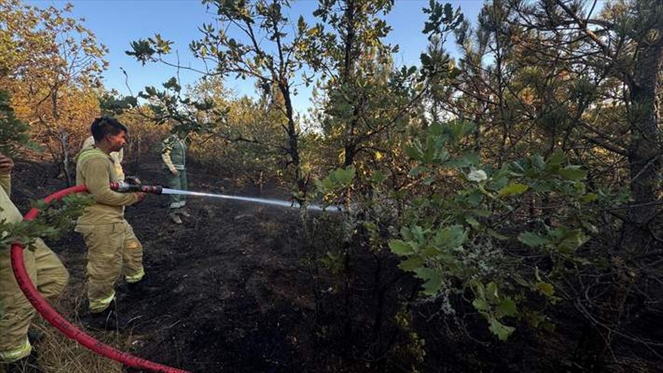 Kastamonu’da çıkan orman yangını söndürüldü