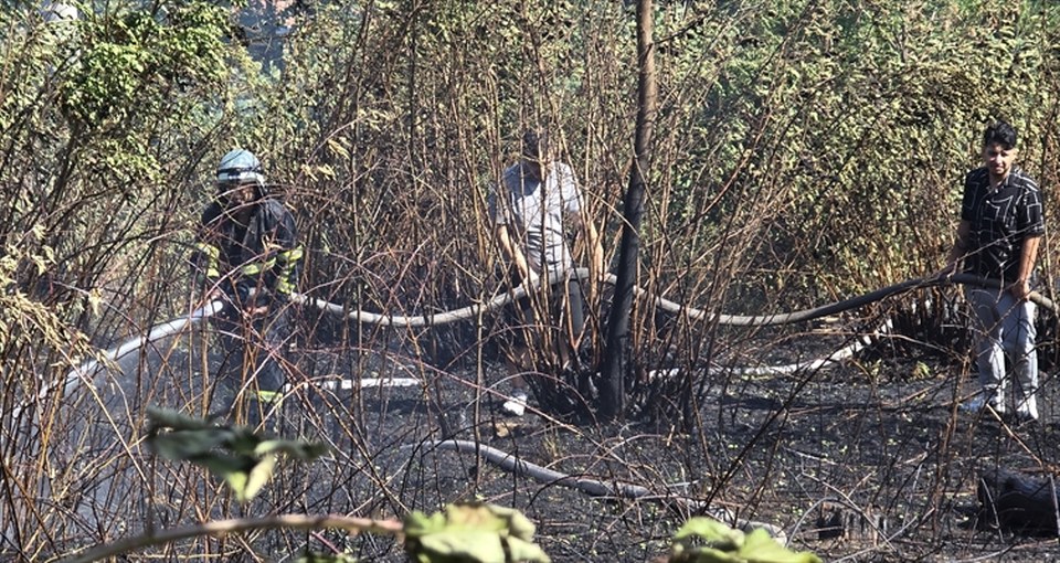 Zonguldak’ta iki noktada çıkan orman yangınları söndürüldü