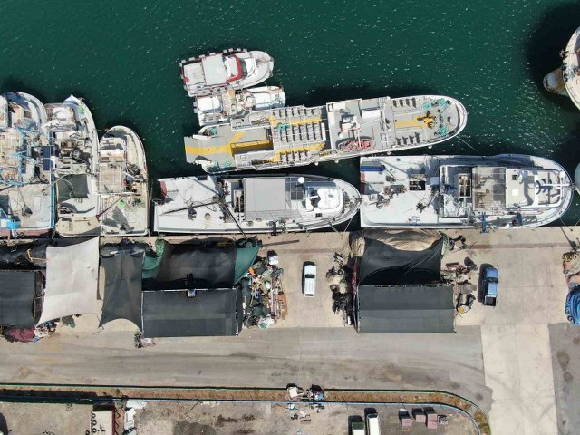 İzmir’de deniz kirliliği balığı vurdu: Sardalyasız sezon kapıda