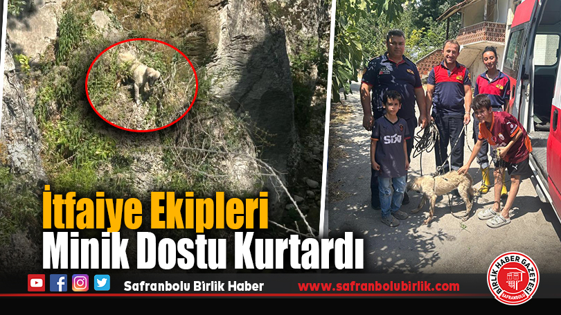 Safranbolu’da Kayalıklarda Mahsur Kalan Köpek Kurtarıldı