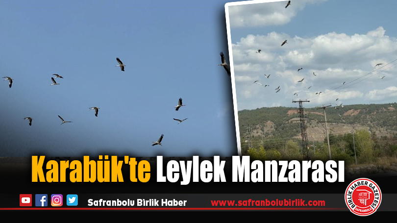 Karabük’te Leylek Manzarası