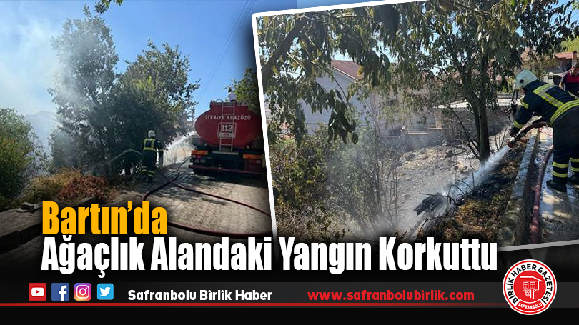 Bartın’da Ağaçlık Alandaki Yangın Korkuttu