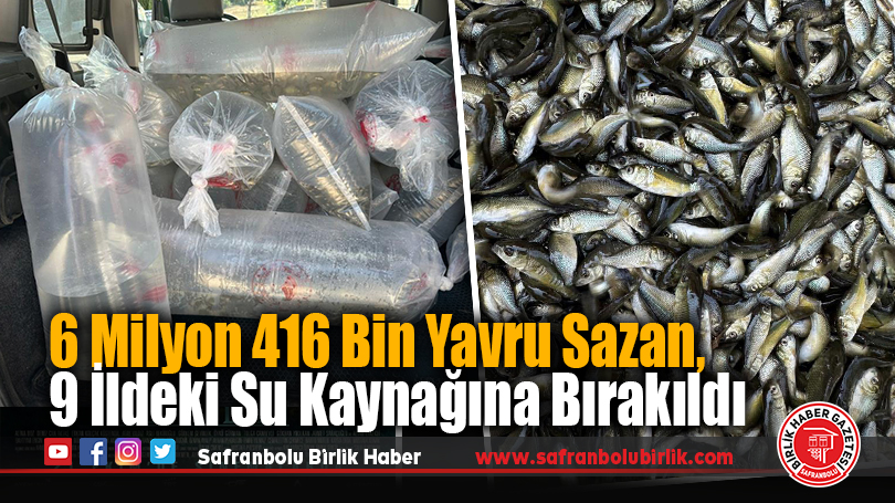 Bolu’da üretilen yavru sazanlar Türkiye’nin dört bir yanına gönderildi