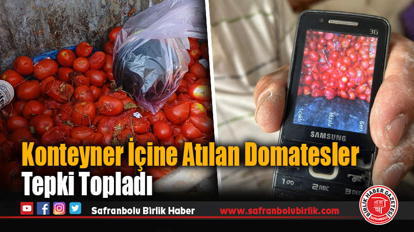 Konteyner İçine Atılan Domatesler Tepki Topladı