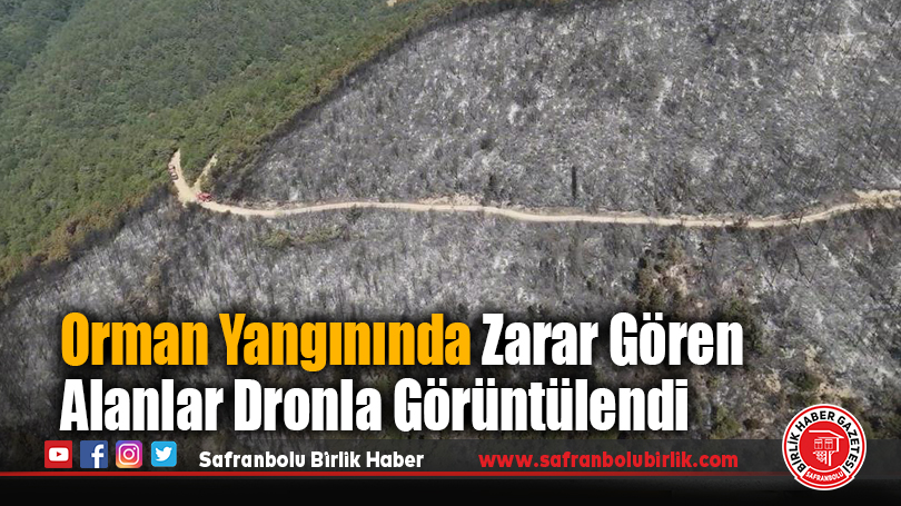 Orman Yangınında Zarar Gören Alanlar Dronla Görüntülendi