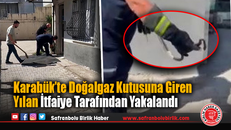 Karabük’te Doğalgaz Kutusuna Giren Yılan İtfaiye Tarafından Yakalandı