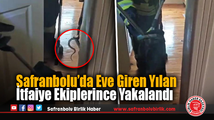 Safranbolu’da Eve Giren Yılan İtfaiye Tarafından Doğaya Bırakıldı
