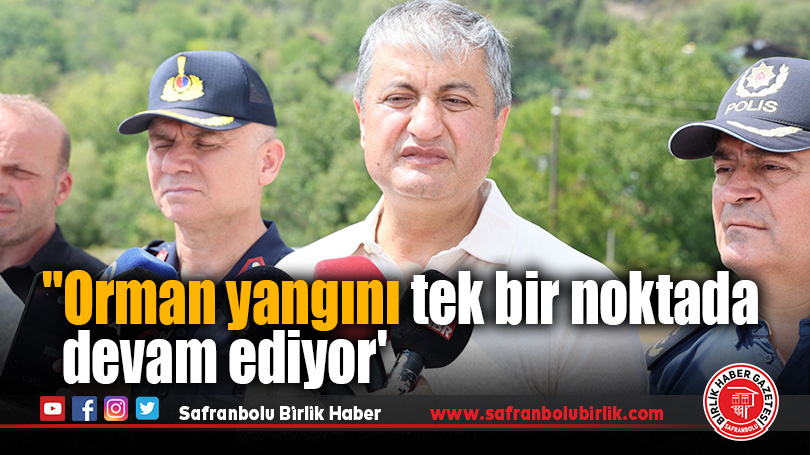 Vali Mustafa Yavuz: Orman Yangını Çevrelendi, Müdahalemiz Sürüyor