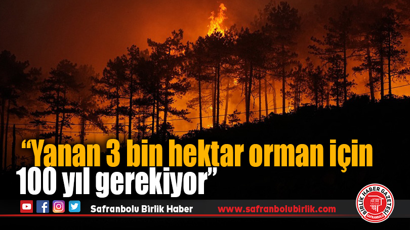 “Yeniden Yeşermek 100 Yıl Sürebilir”