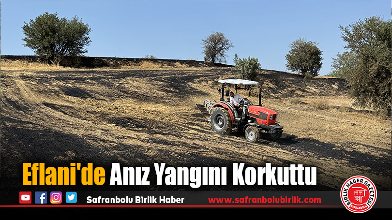 Eflani’de Anız Yangını Korkuttu
