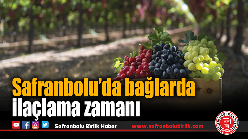 Safranbolu’da Bağlarda Hastalık Mücadelesi İçin İlaçlama Zamanı Geldi