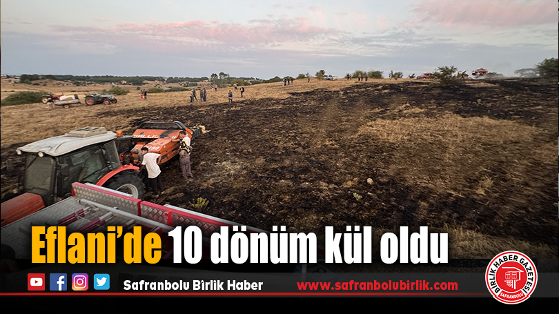 Eflani’de anız yangını kısa sürede söndürüldü