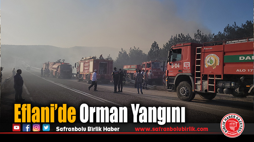 Eflani’de Orman Yangını