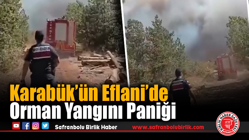 Karabük’ün Eflani ilçesinde orman yangını paniği