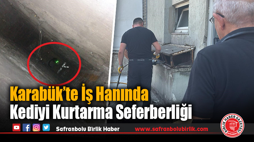 Karabük’te İş Hanında Kediyi Kurtarma Seferberliği