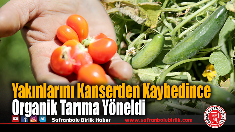 Kanser Kaybı, Onu Toprağa Bağladı: Saffet Doğruyol’dan Ata Tohumlu Organik Üretim Hikâyesi