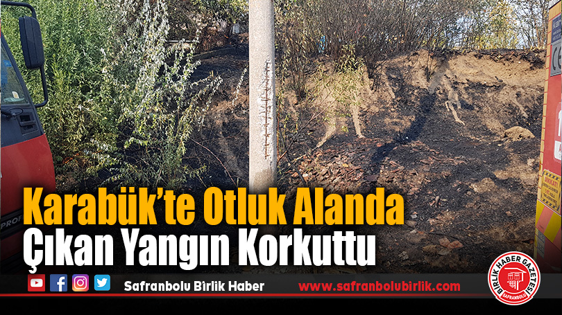 Otluk alanda çıkan yangın evlere sıçramadan söndürüldü