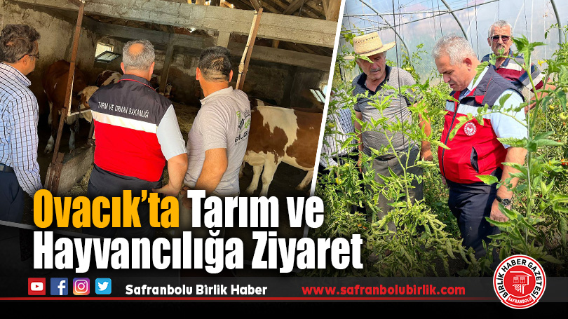 Karabük İl Tarım ve Orman Müdürü Ovacık’ta Çiftçilerle Buluştu