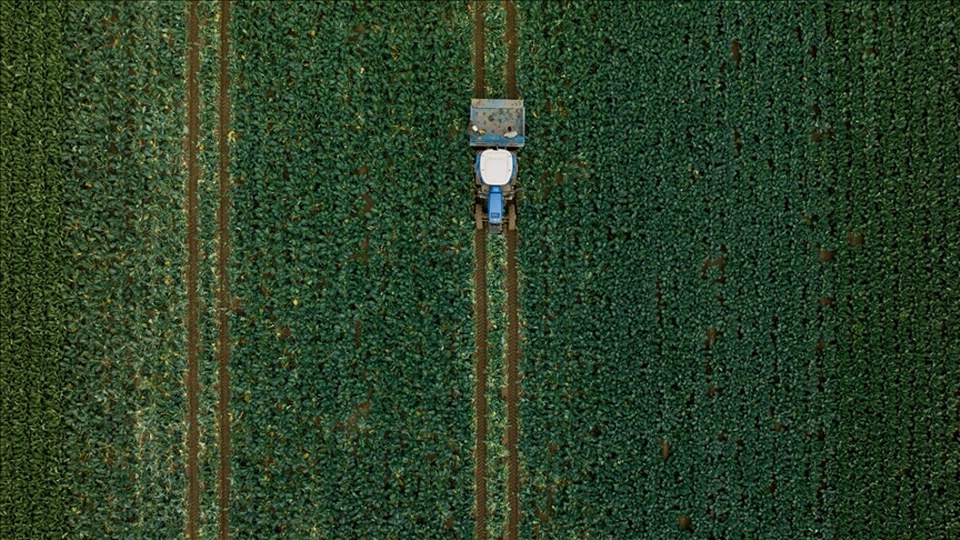 Gençlerin kırsala dönüşü yeni teşviklerle artacak