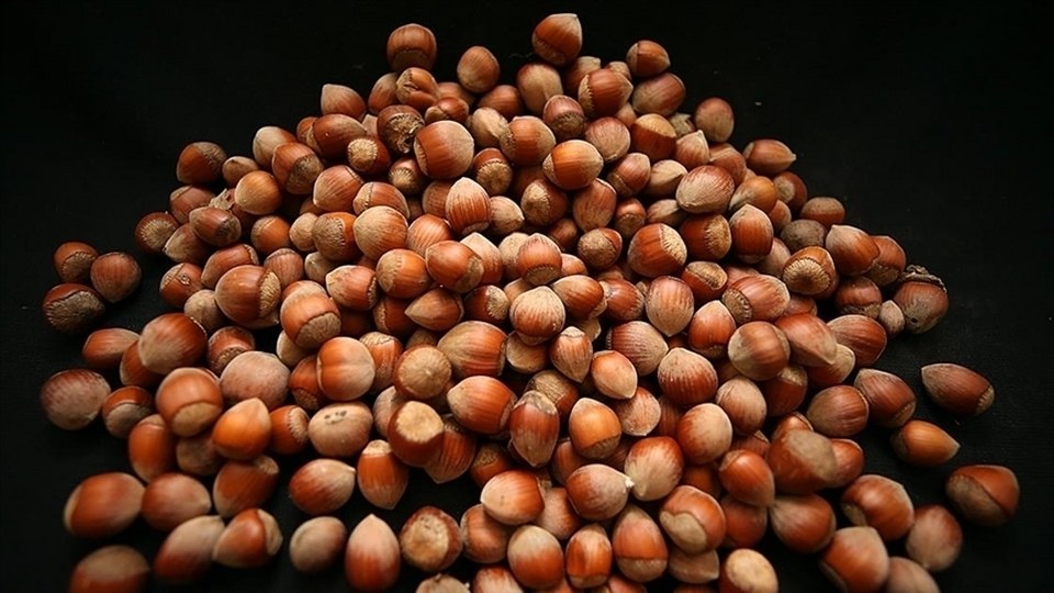 Türkiye fındık ihracatından 7 ayda 1,3 milyar dolar sağladı