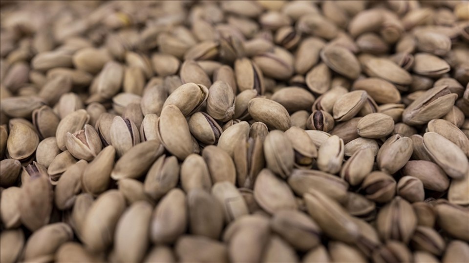 Tarım, Ticaret ve Hazine bakanlıkları koordinasyonunda fıstık sektörü denetlendi