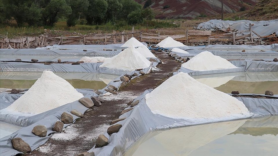 Sivas’ın “esmer tuzu” Japonya’da yemeklere lezzet katıyor