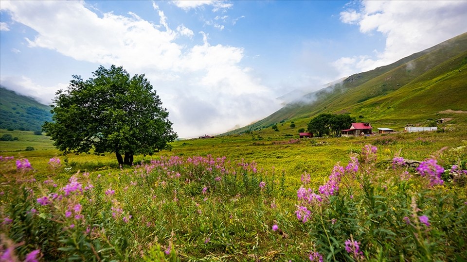 Uygun bilet fiyatları tatilcilerin rotasını Karadeniz’e çevirdi