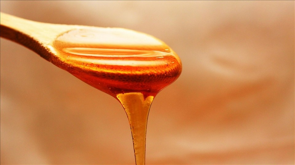 Doğu Karadeniz’den 7 ayda 11 ülkeye bal ihraç edildi