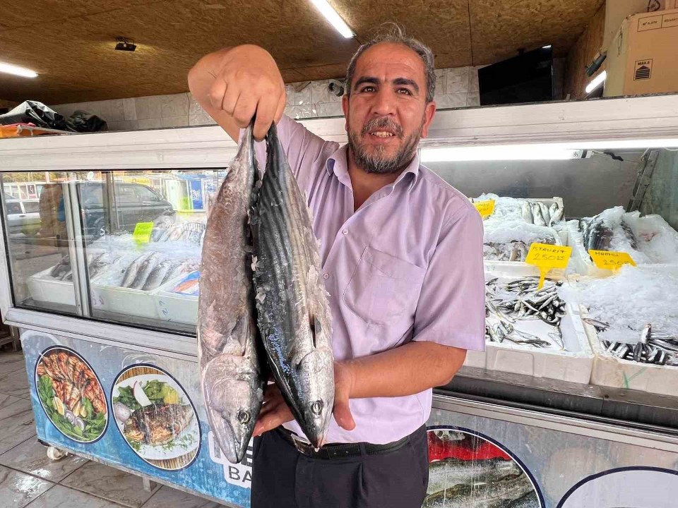 Deprem sonrası Kahramanmaraş’tan 54 ülkeye balık ihracatı