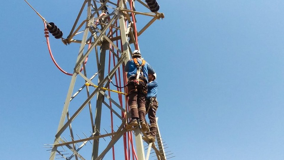 Fırat EDAŞ, kesintisiz enerji arzını ve leylekleri güvence altına alıyor