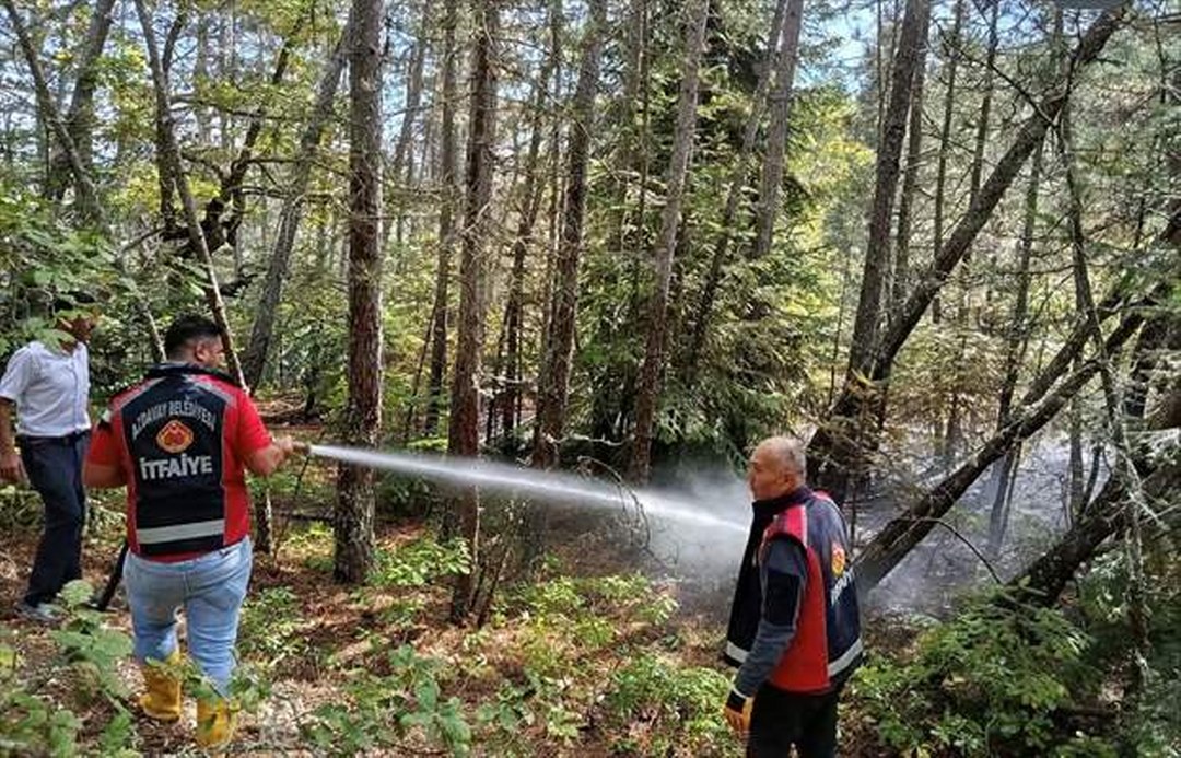 Kastamonu’da çıkan orman yangını söndürüldü