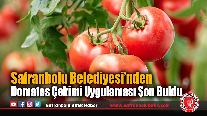 Safranbolu Belediyesi’ndenDomates Çekimi Uygulaması Son Buldu